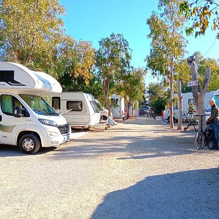 Camping La Naranja Otel Gandía Dış mekan fotoğraf
