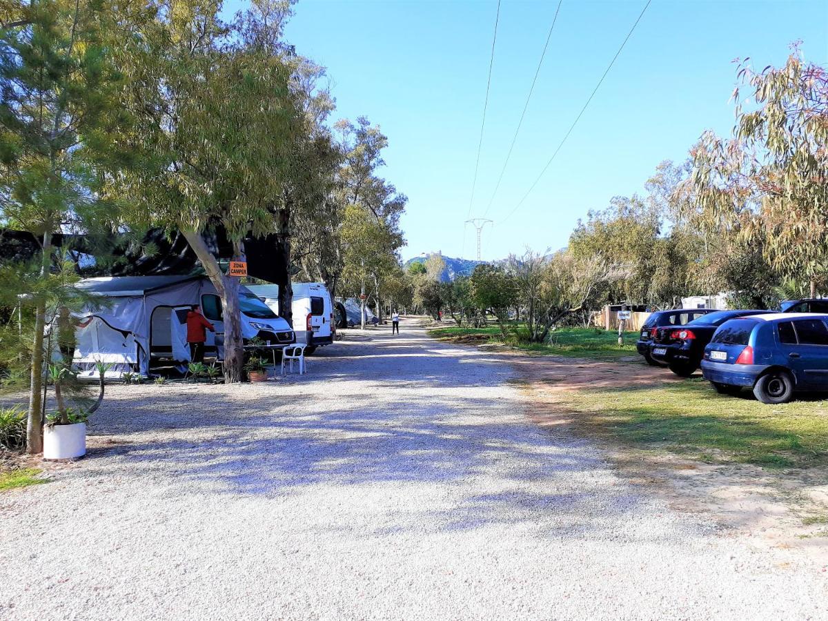 Camping La Naranja Otel Gandía Dış mekan fotoğraf