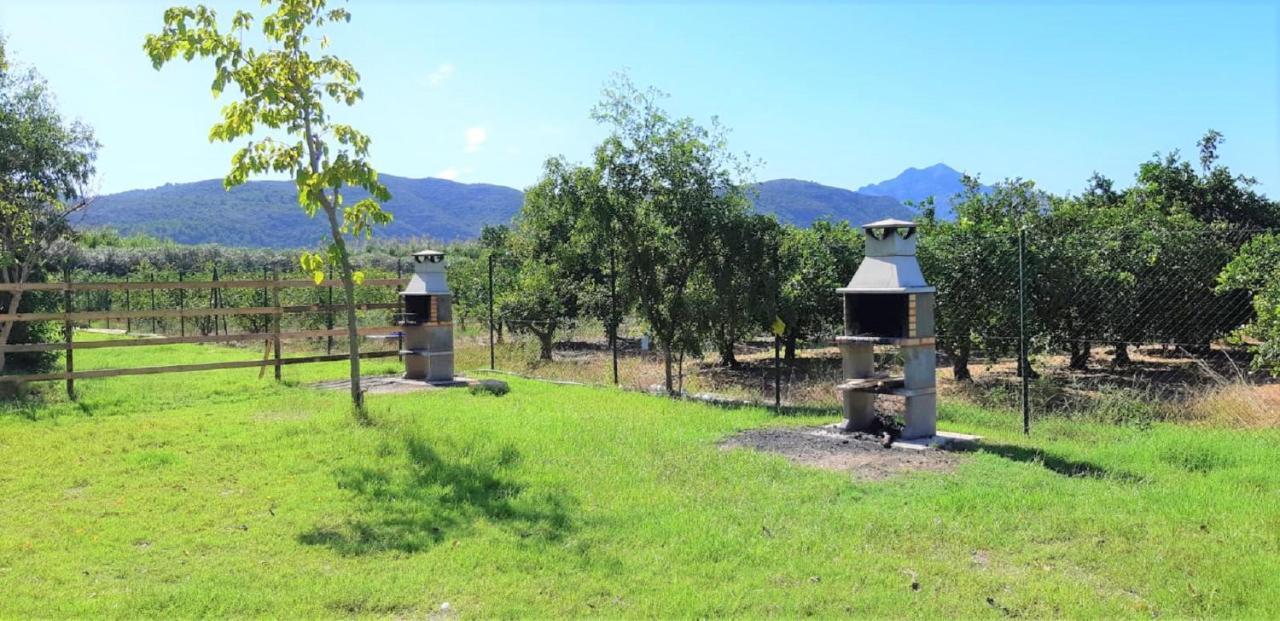 Camping La Naranja Otel Gandía Dış mekan fotoğraf