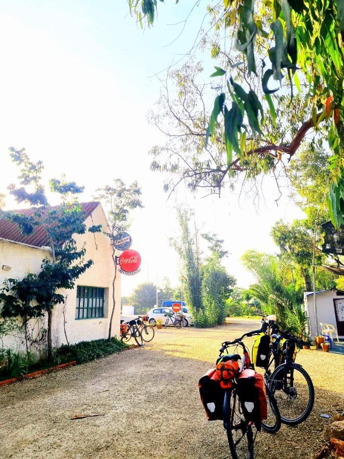 Camping La Naranja Otel Gandía Dış mekan fotoğraf