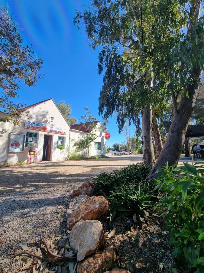Camping La Naranja Otel Gandía Dış mekan fotoğraf
