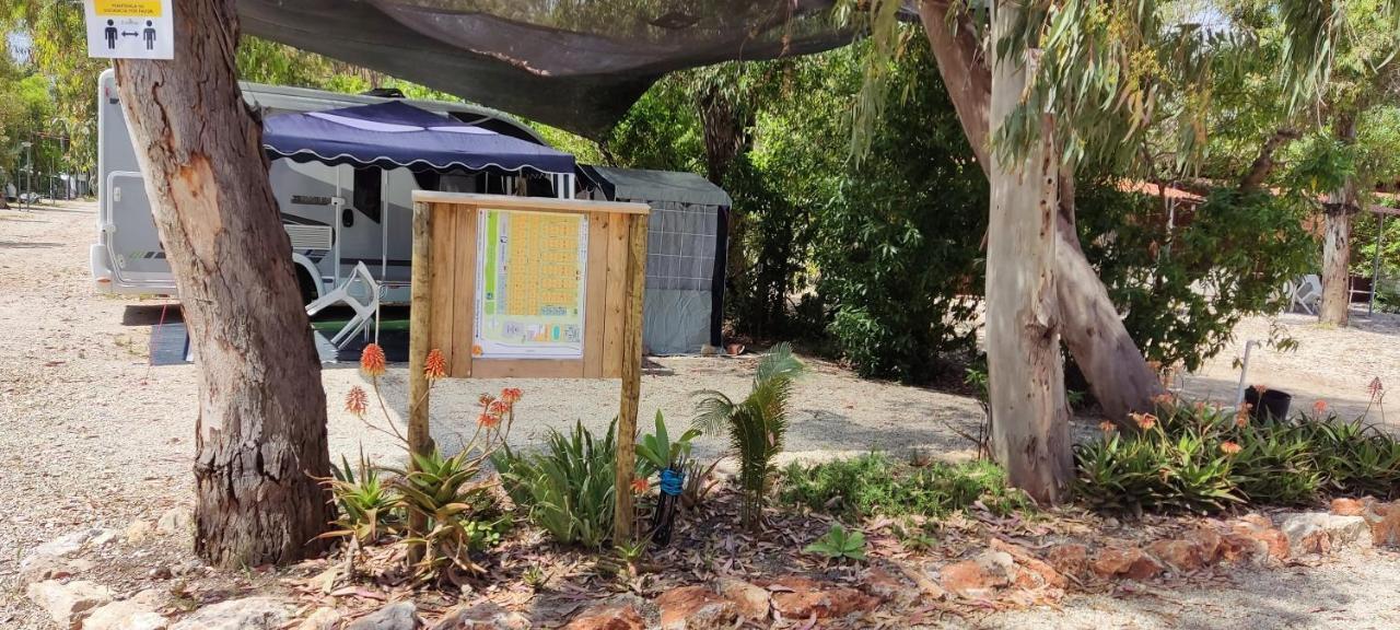 Camping La Naranja Otel Gandía Dış mekan fotoğraf