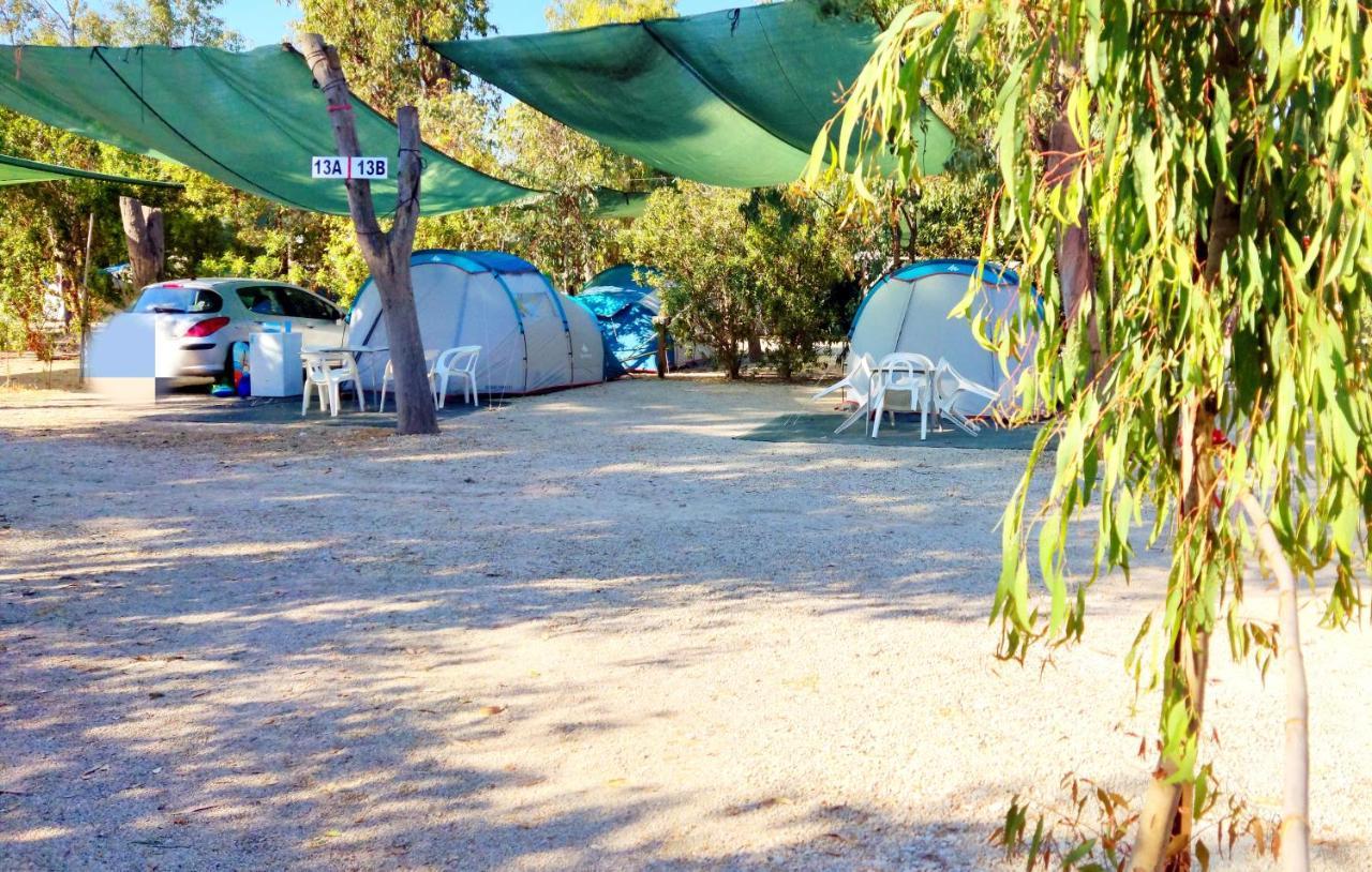 Camping La Naranja Otel Gandía Dış mekan fotoğraf