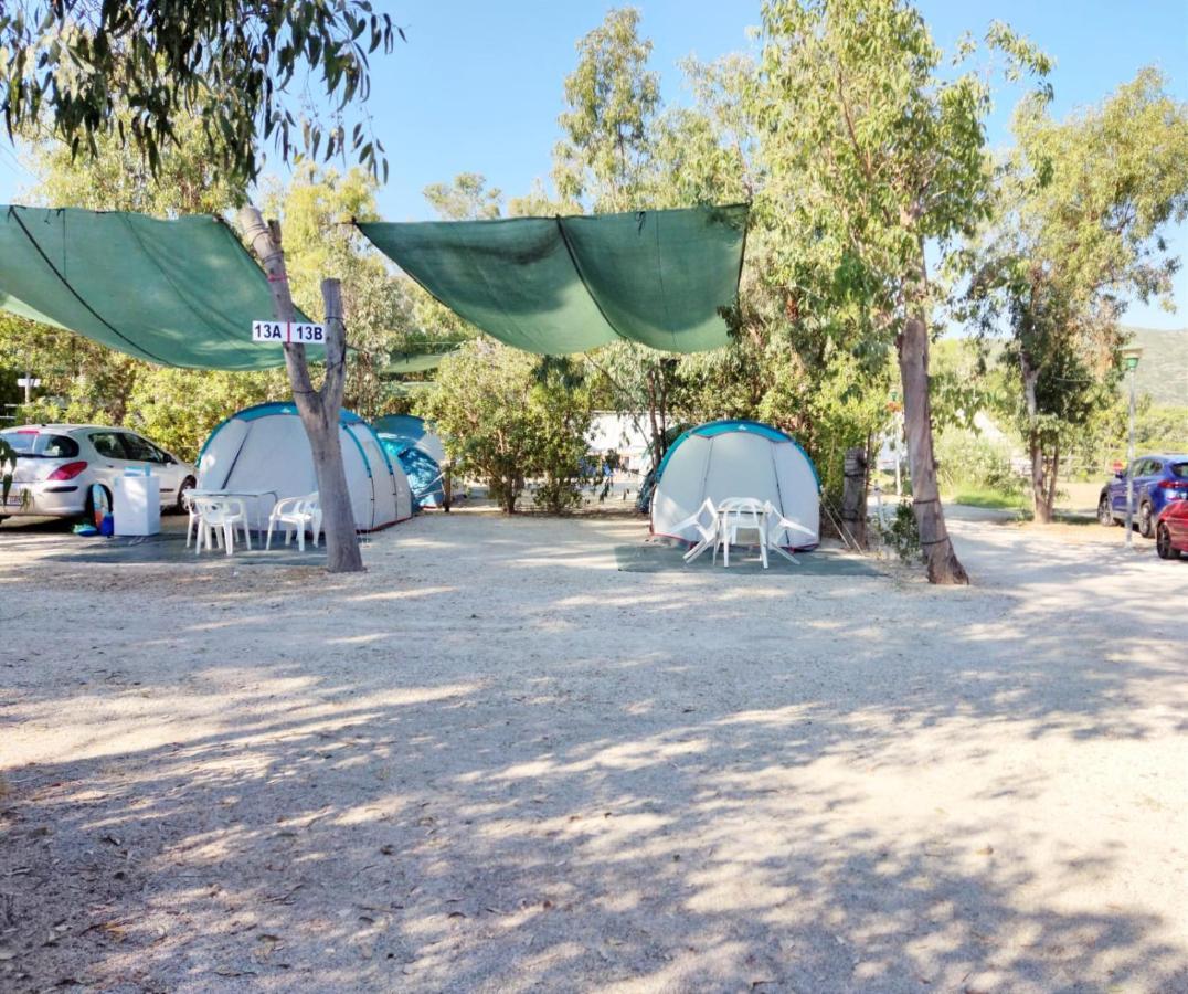 Camping La Naranja Otel Gandía Dış mekan fotoğraf
