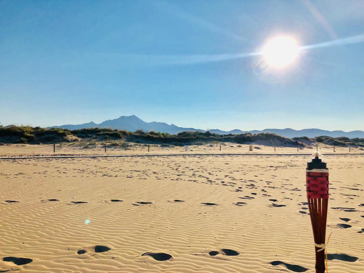 Camping La Naranja Otel Gandía Dış mekan fotoğraf
