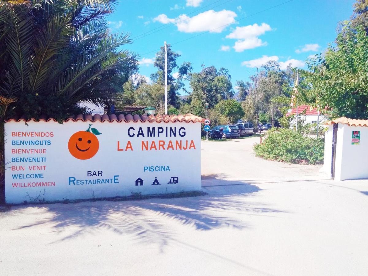 Camping La Naranja Otel Gandía Dış mekan fotoğraf